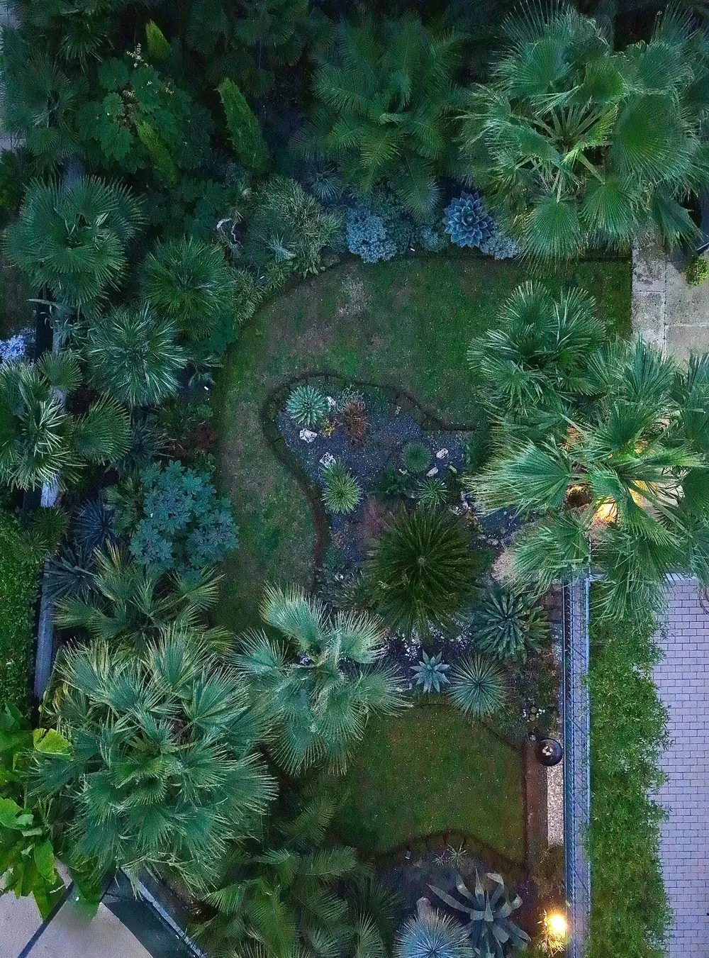 Il giardino esotico di Samuele Storari a San Bonifacio visto dall'alto: palme a ventaglio, agavi e un prato tra le aiuole